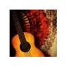 Flamenco desolador